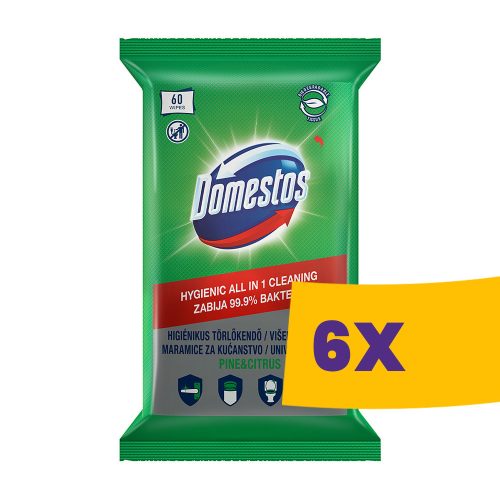 Domestos higiénikus fertőtlenítő kendő 60db-os (Karton - 6 csg)